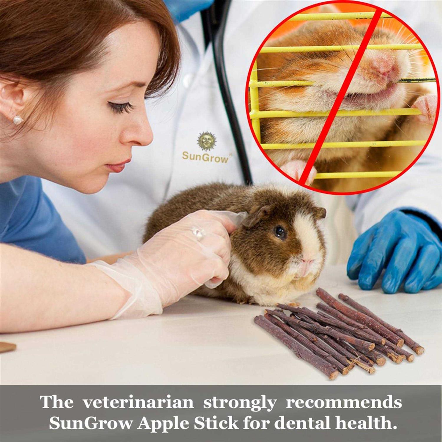 SunGrow Apple Sticks 200g Wood Chew Sticks for Rabbits Chinchillas - Image 3