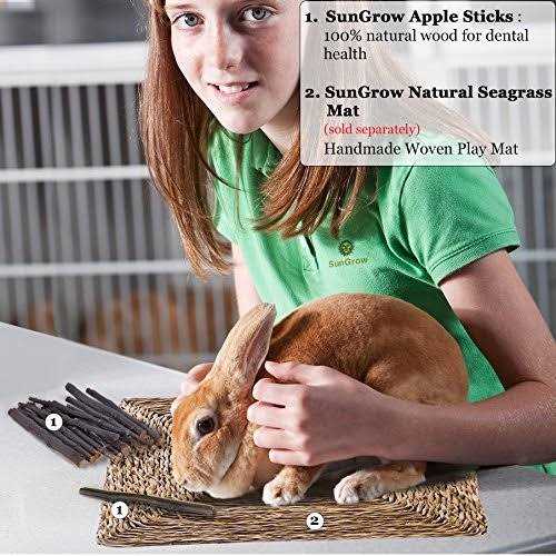SunGrow Apple Sticks 200g Wood Chew Sticks for Rabbits Chinchillas - Image 5