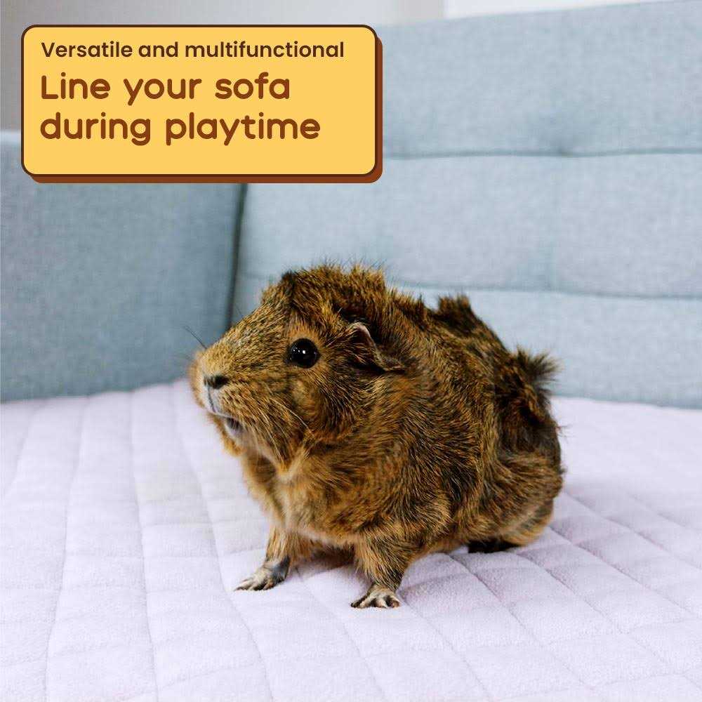 GuineaDad Premium Liner Ultra-Plush Guinea Pig Fleece Liner - Image 4