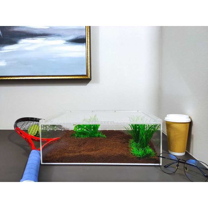 Herpcult Acrylic Insect & Reptile Terrarium - Image 3