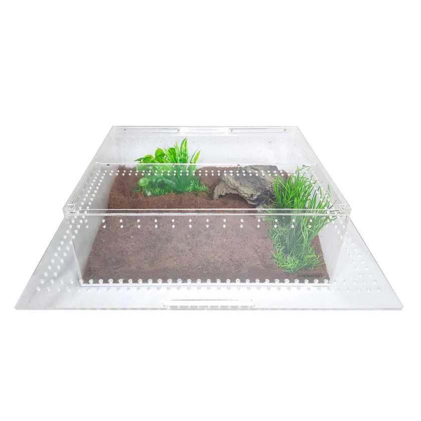 Herpcult Acrylic Insect & Reptile Terrarium - Image 5