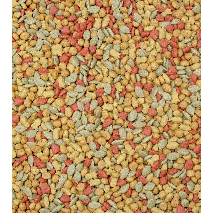 Higgins inTune Conure & Cockatiel Food - Image 4