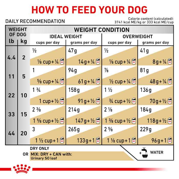 Royal Canin Veterinary Diet Canine Urinary So Dry Dog Food - Image 2