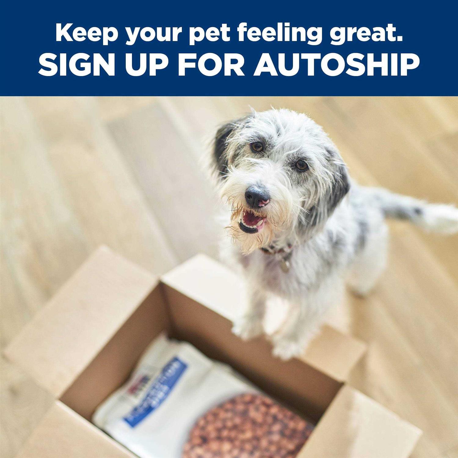 Hill's Prescription Diet Prescription Diet z/d Dog Food - Image 5