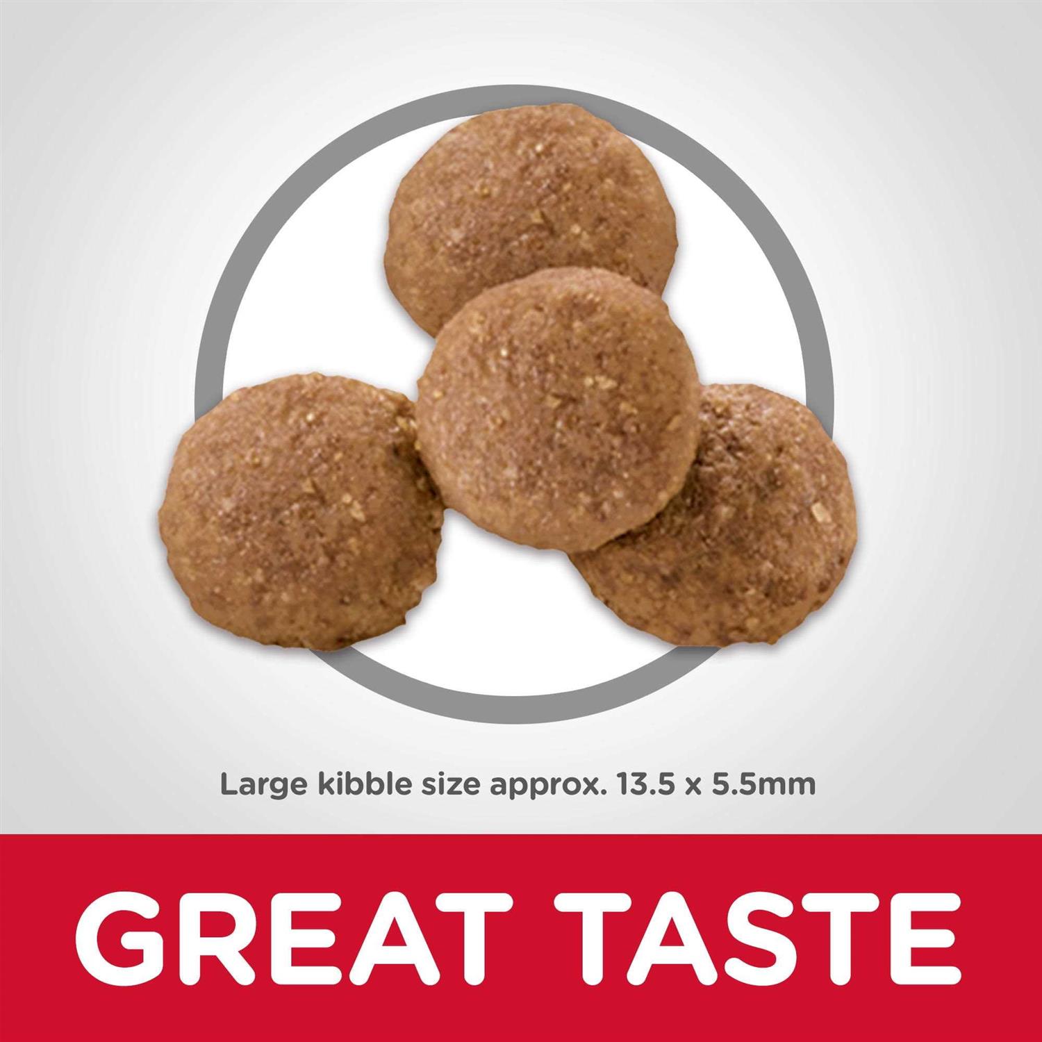 Hill's Science Diet Large Breed Puppy Chicken Recipe Dry Dog Food - Image 4