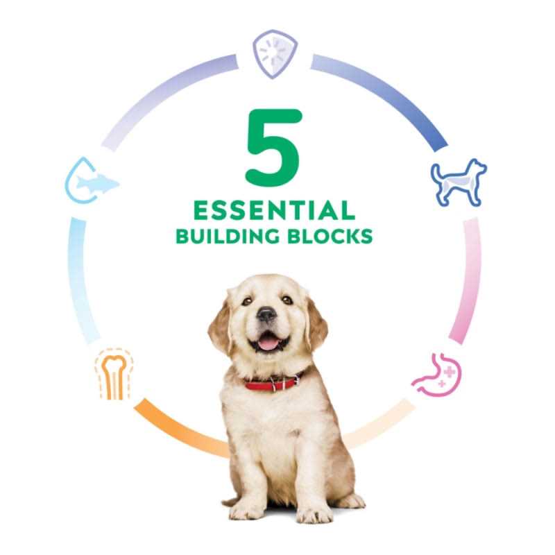 Hill's Science Diet Large Breed Puppy Chicken Recipe Dry Dog Food - Image 2