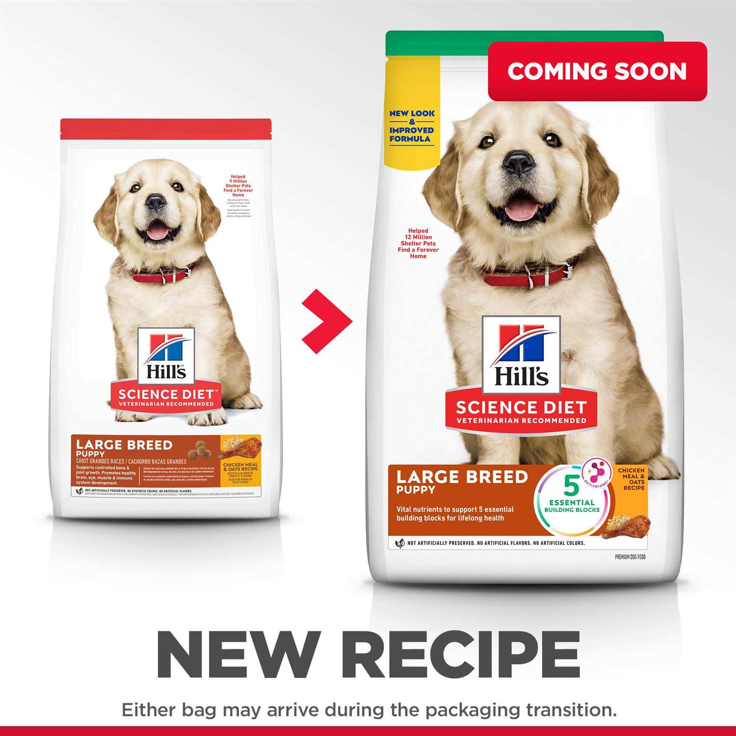 Hill's Science Diet Large Breed Puppy Chicken Recipe Dry Dog Food - Image 3