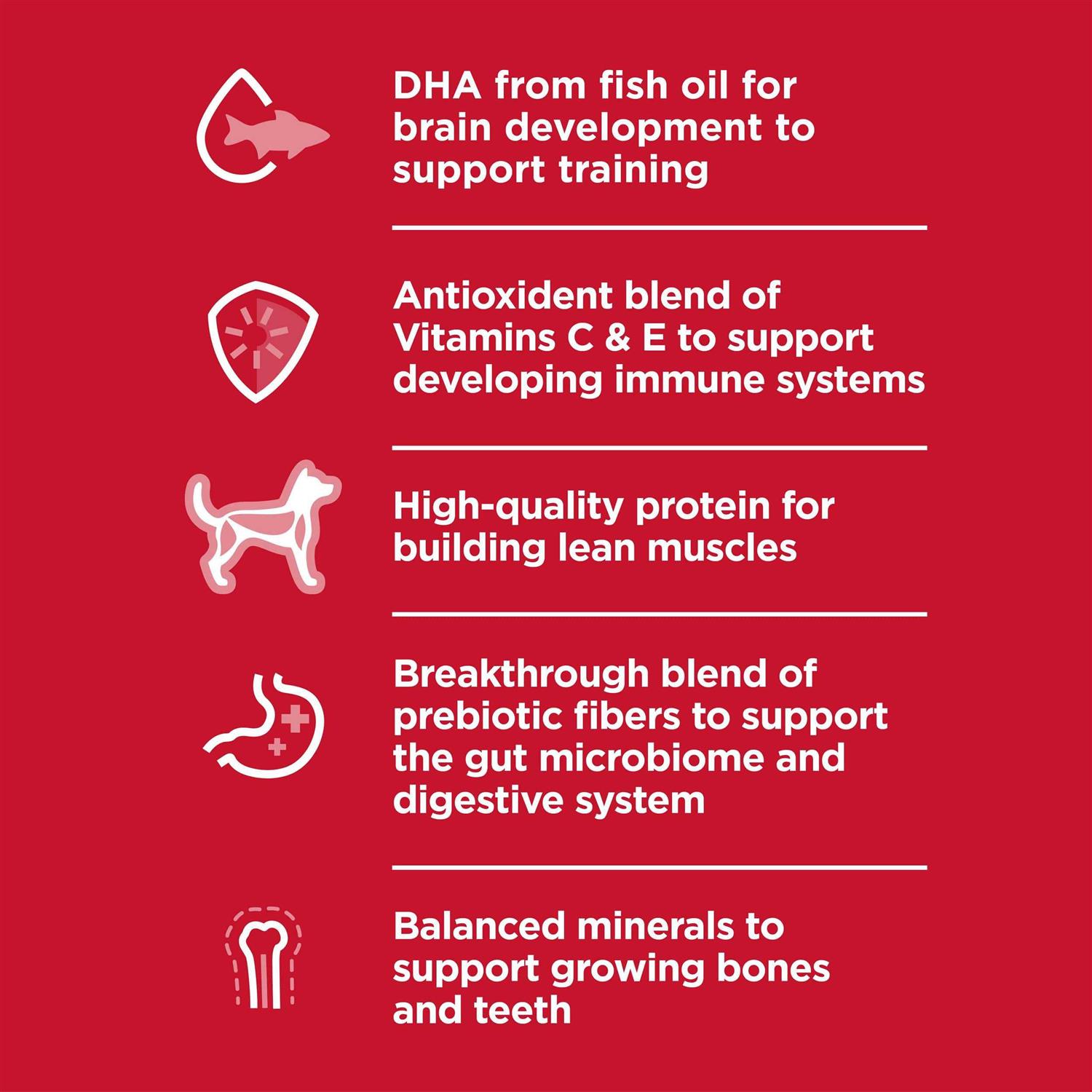 Hill's Science Diet Large Breed Puppy Chicken Recipe Dry Dog Food - Image 5