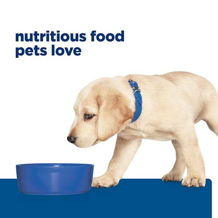 Hill's Prescription Diet Derm Complete Skin & Food Sensitivities Dry Dog Food - Image 3