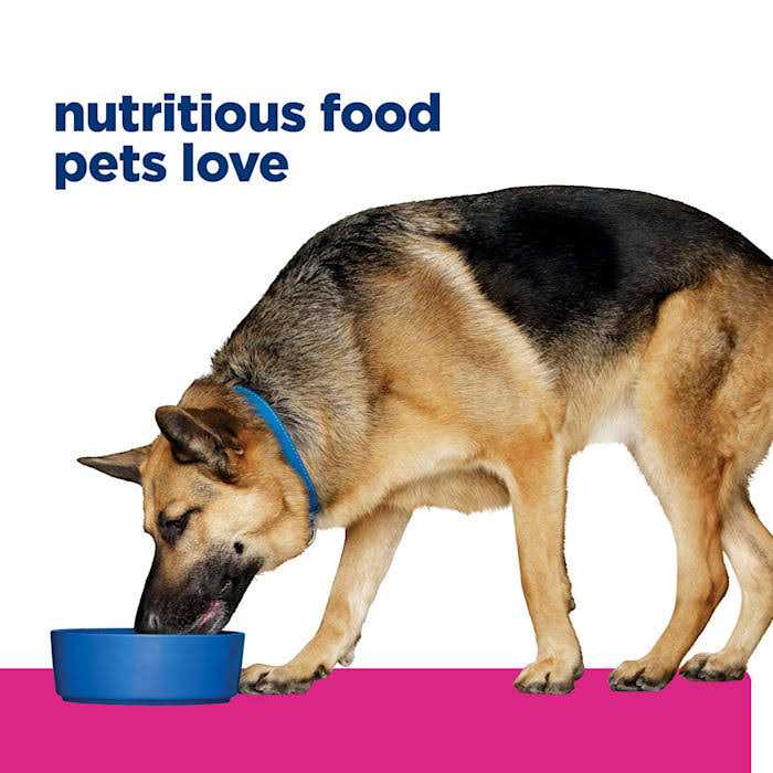 Hill's Prescription Diet Gastrointestinal Biome Digestive/Fiber Care Chicken & Vegetable Stew Wet Dog Food - Image 2