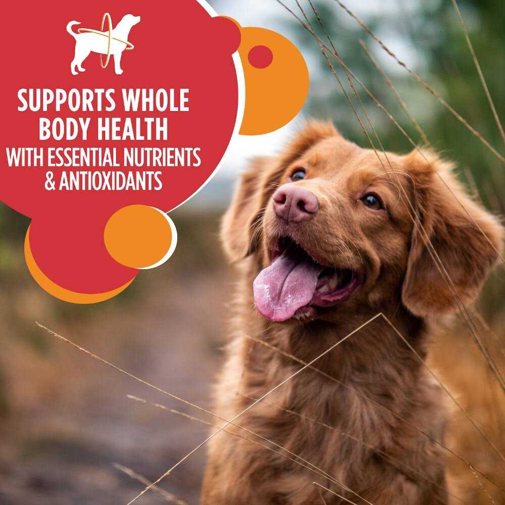 Iams Proactive Health Adult Dry Dog Food Lamb Rice - Image 4