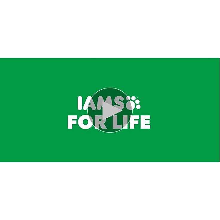 Iams Proactive Health Adult Dry Dog Food Lamb Rice - Image 5