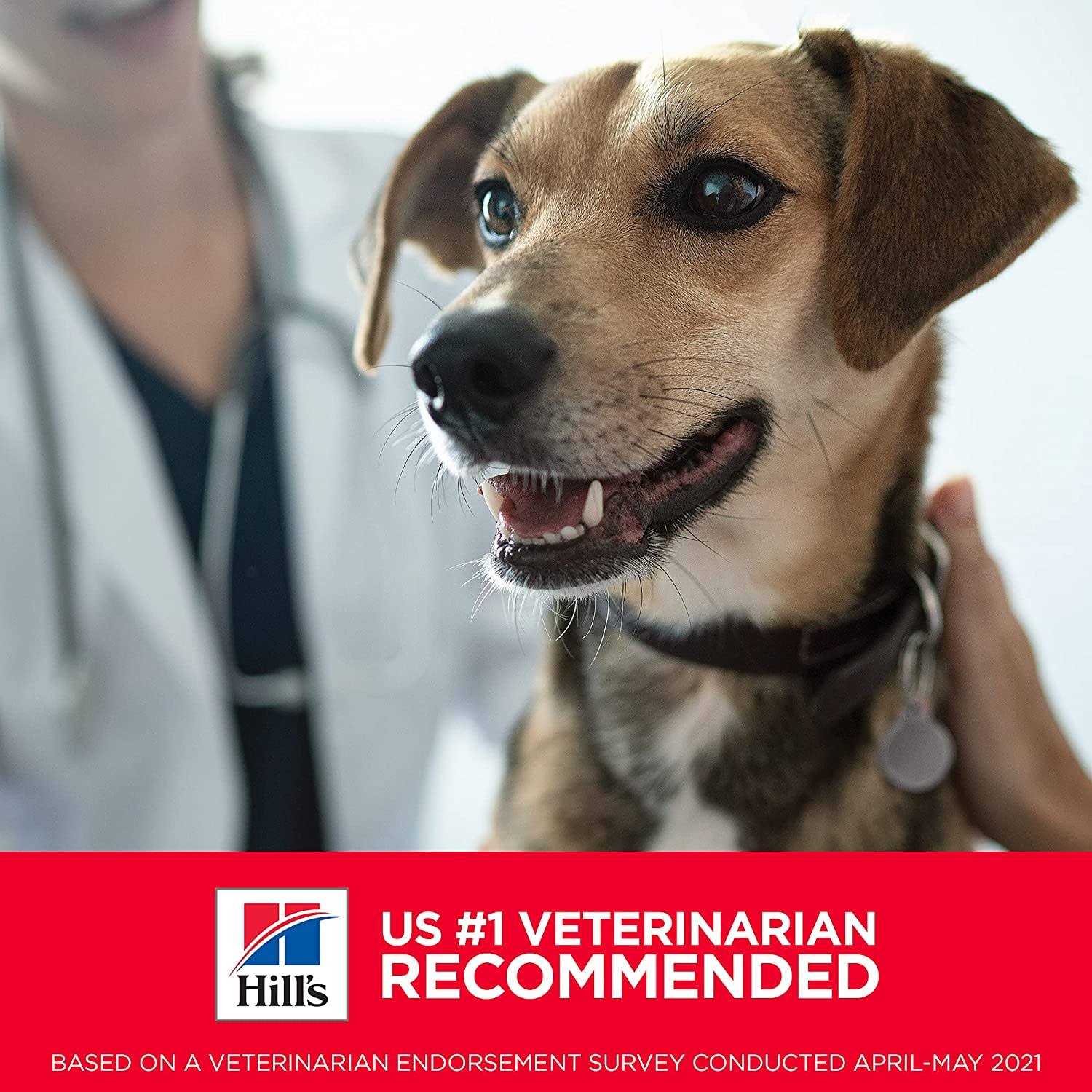 Hill's Science Diet Small Paws Puppy Food Chicken Meal & Barley - Image 5