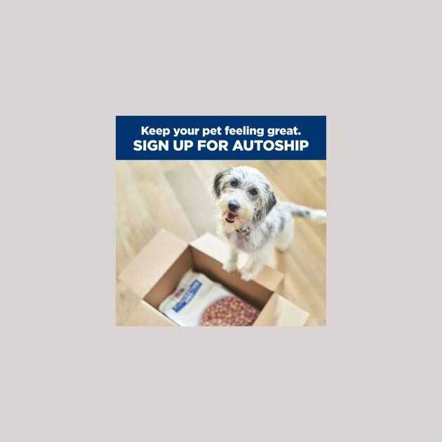 Hill's Prescription Diet w/d Multi-Benefit Vegetable & Chicken Stew Wet Dog Food - Image 5