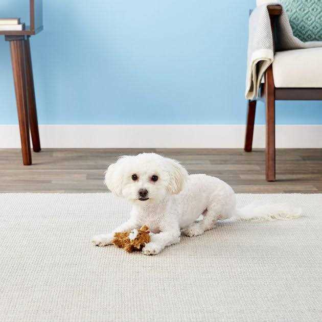 Kong Teddy Bear Dog Toy - Image 5