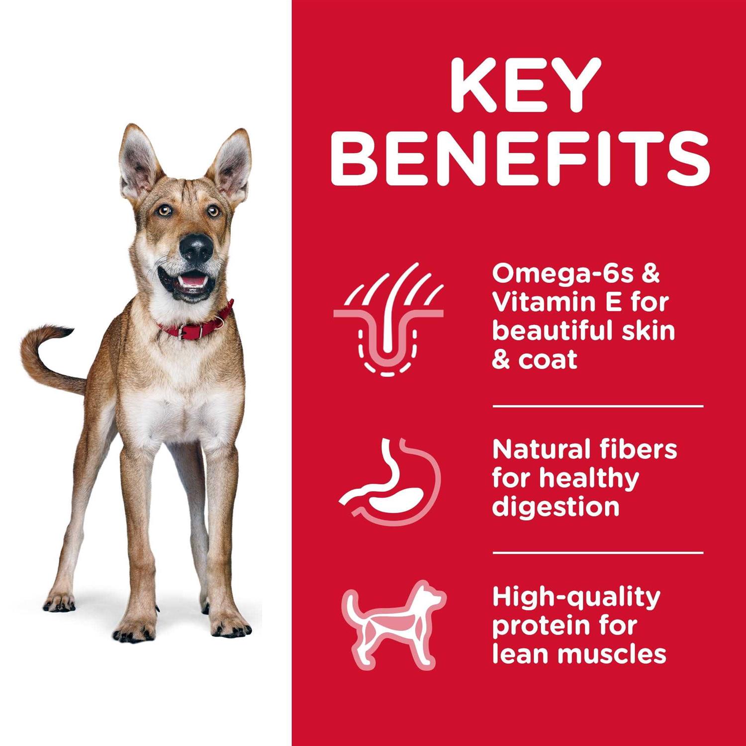 Hill's Science Diet Adult Dog Food Chicken & Barley - Image 2