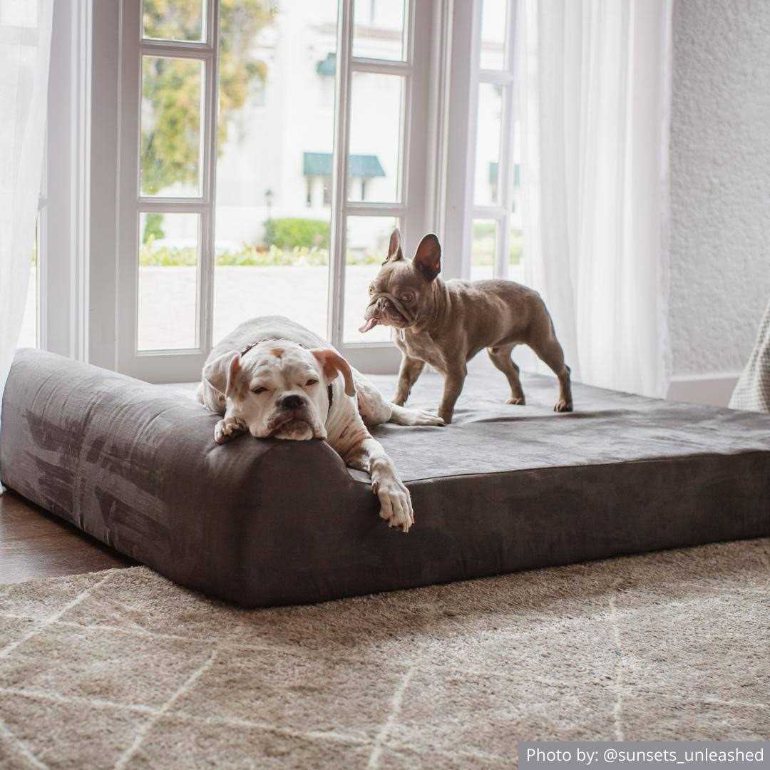 Big Barker Headrest Pillow Top Orthopedic Dog Bed - Image 5