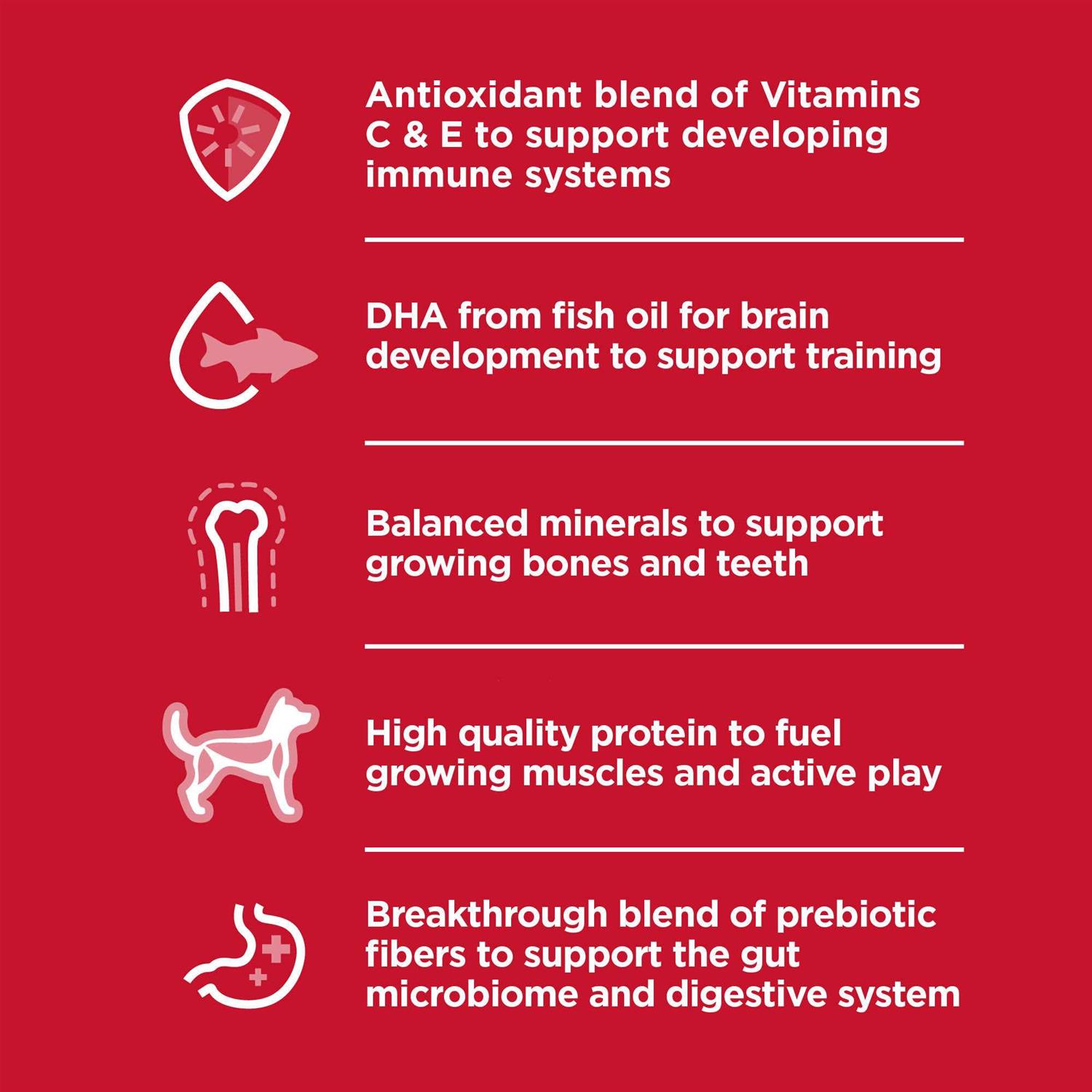 Hill's Science Diet Puppy Small Dry Dog Food - Image 2