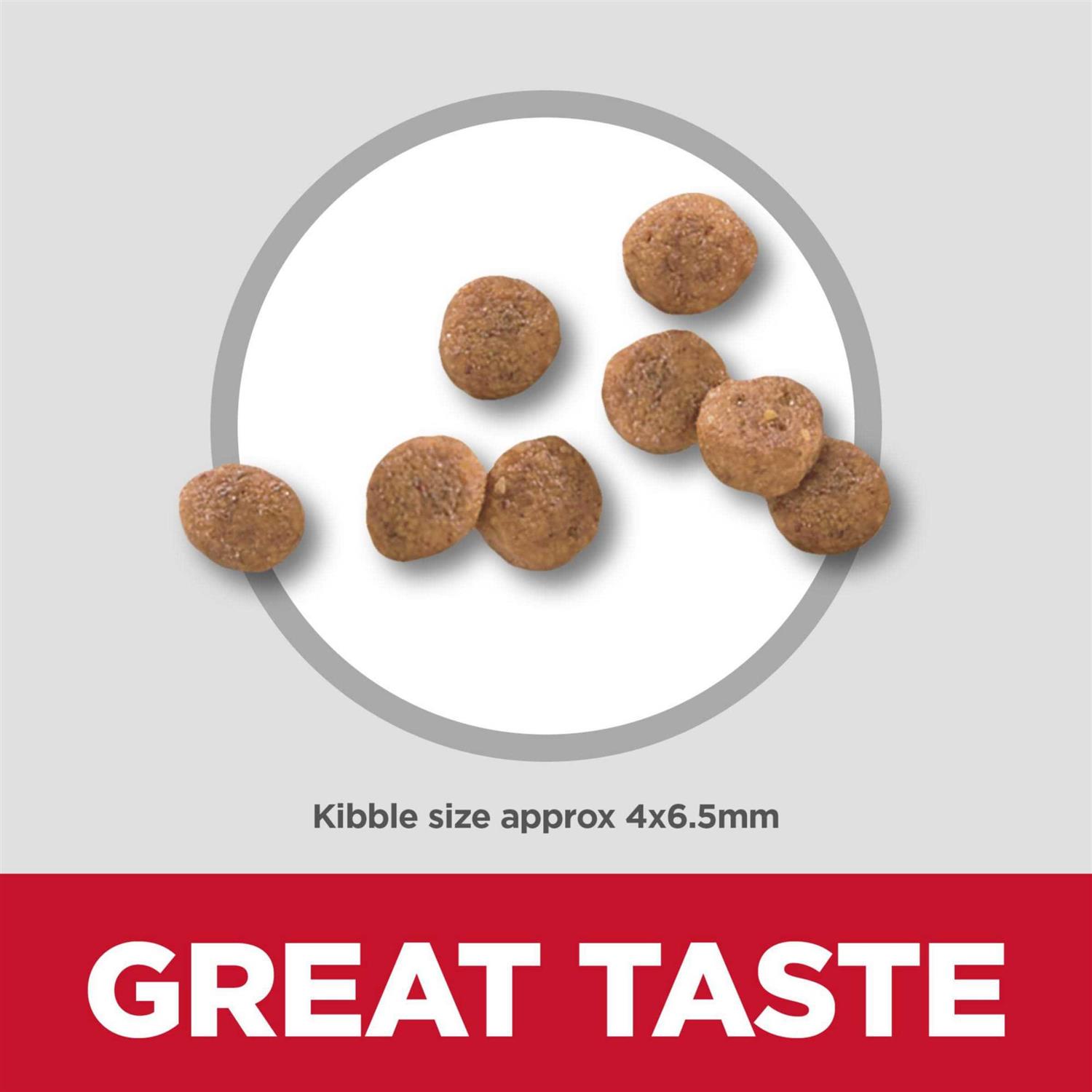 Hill's Science Diet Puppy Small Dry Dog Food - Image 3