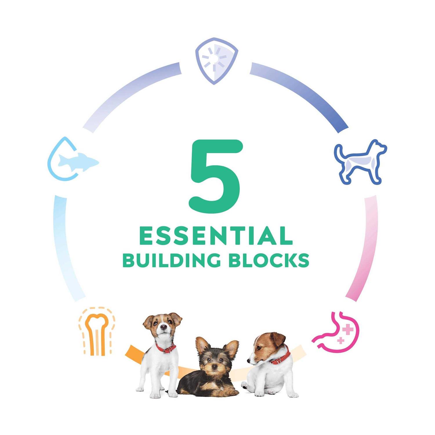 Hill's Science Diet Puppy Small Dry Dog Food - Image 5