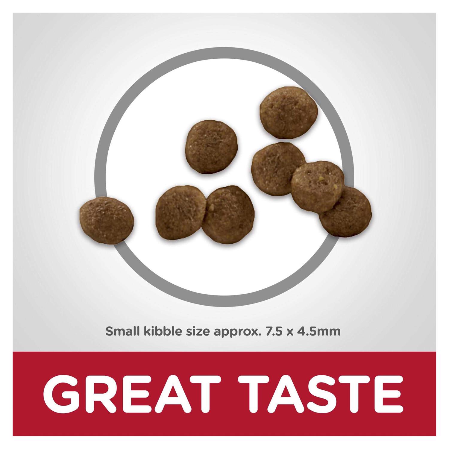 Hill's Science Diet Puppy Small Dry Dog Food - Image 4