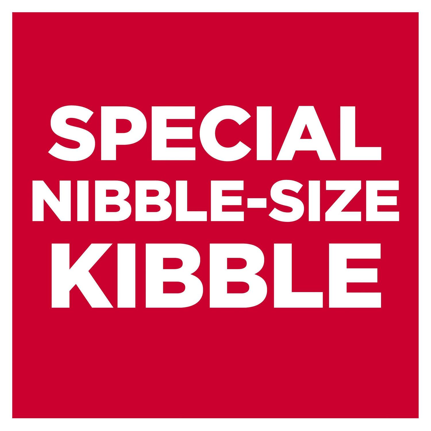 Hill's Science Diet Puppy Small Dry Dog Food - Image 5