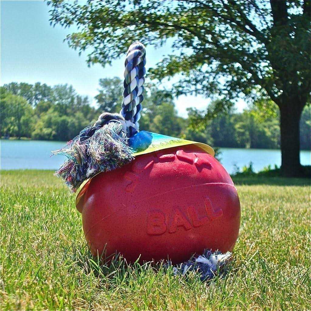 Jolly Pets Romp n Roll - Image 4