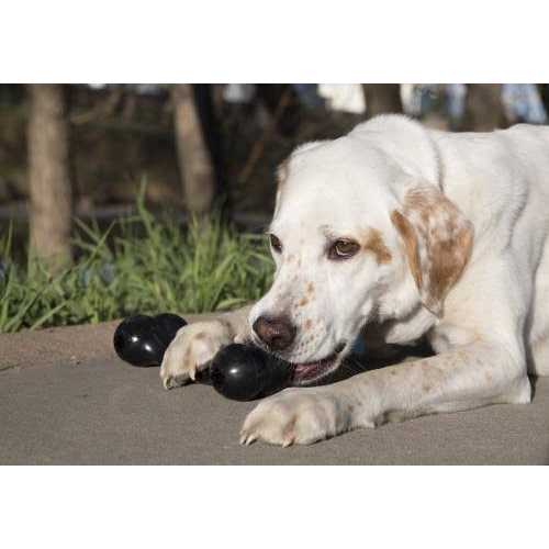 KONG Extreme Goodie Bone Dog Toy - Image 5