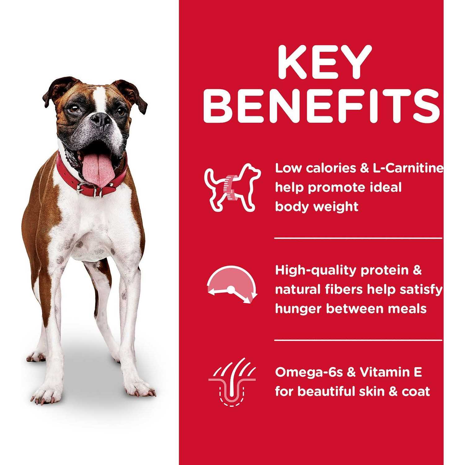 Hill's Science Diet Adult Light Chicken Meal & Barley Dry Dog Food - Image 3