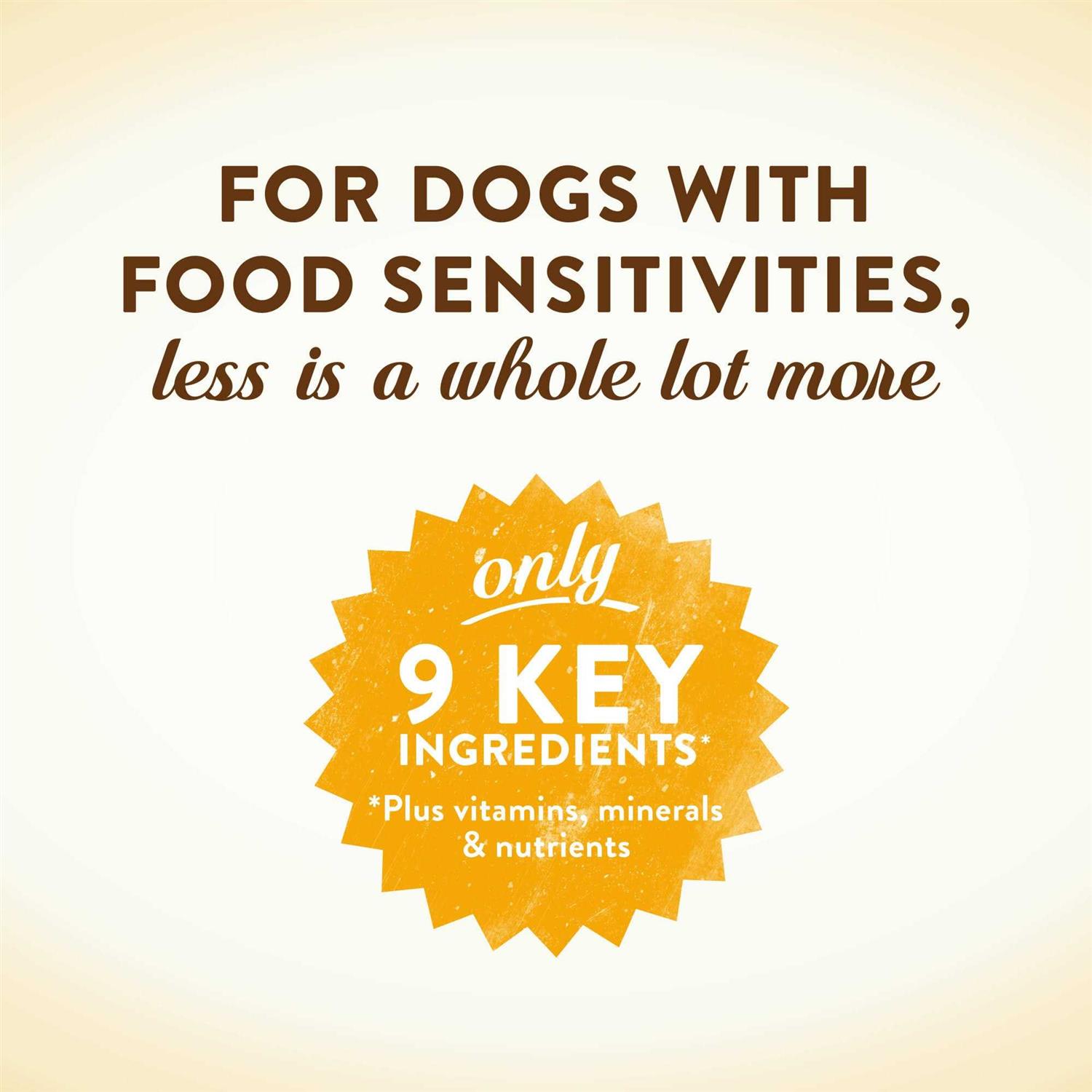 Merrick Limited Ingredient Diet Real Salmon & Brown Rice Recipe Dry Dog Food - Image 5