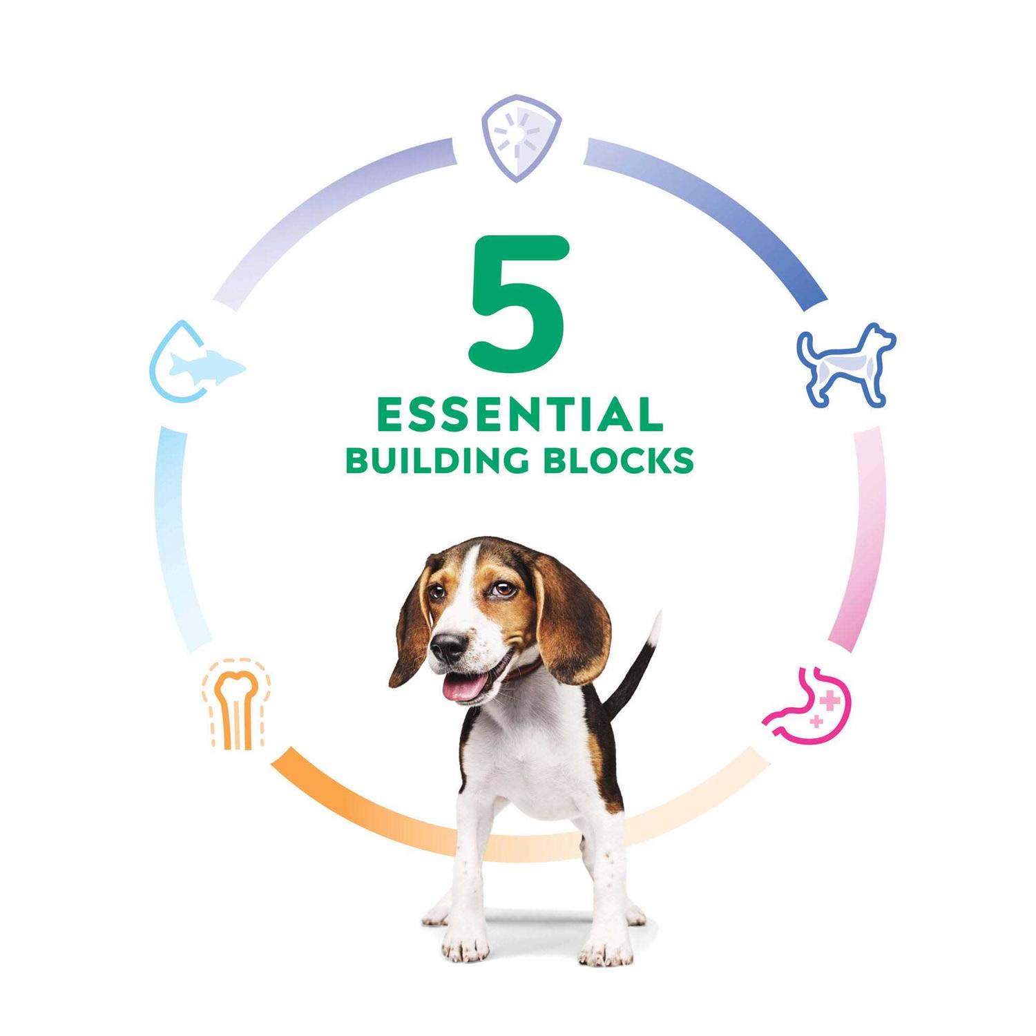 Hill's Science Diet Puppy Chicken & Brown Rice Recipe Dry Dog Food - Image 3