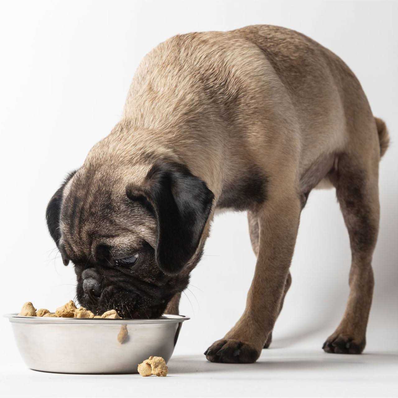 Dr Marty Nature's Blend Sensitivity Select Freeze Dried Dog Food - Image 2