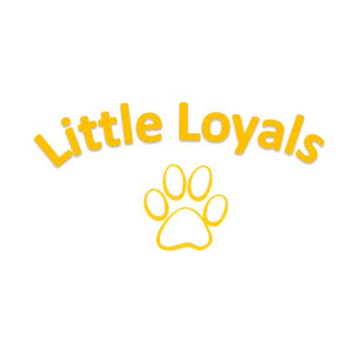 Little Loyals Premium Olive Wood Dog Chew - Image 4