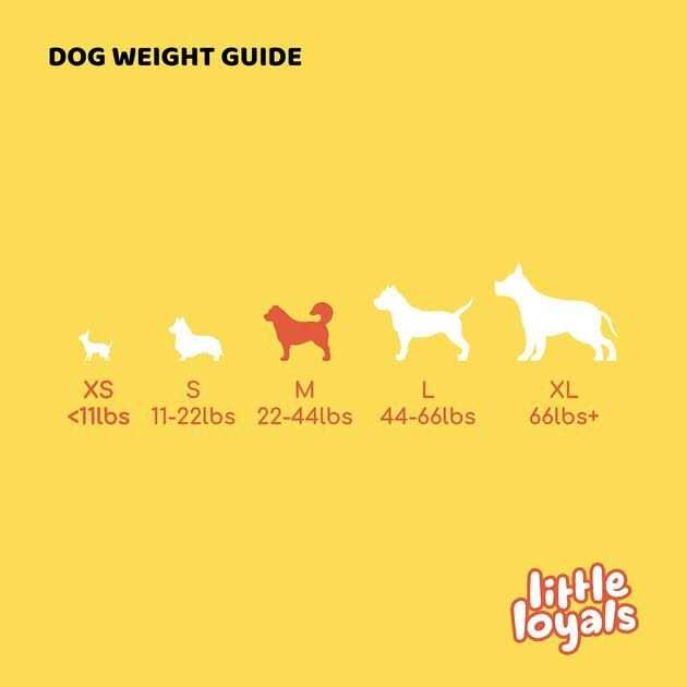 Little Loyals Premium Olive Wood Dog Chew - Image 3