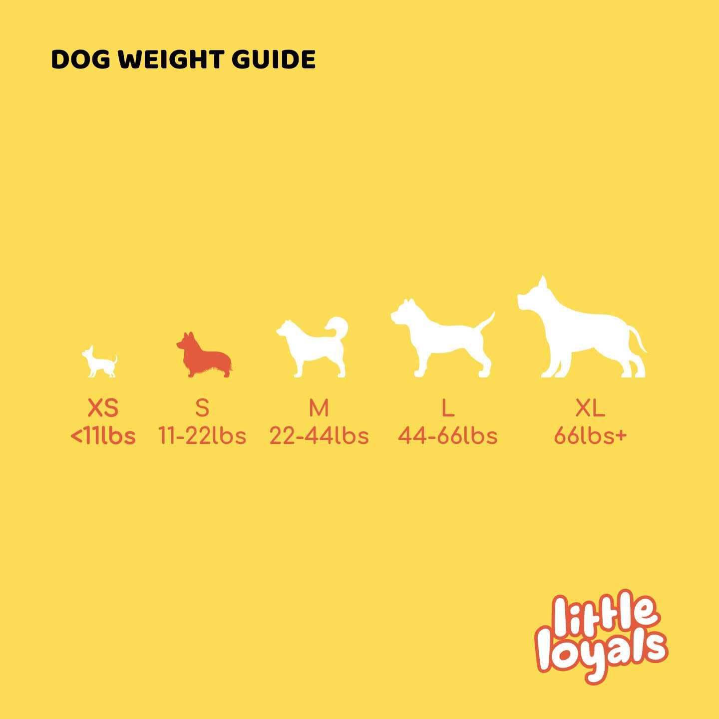 Little Loyals Premium Olive Wood Dog Chew - Image 2