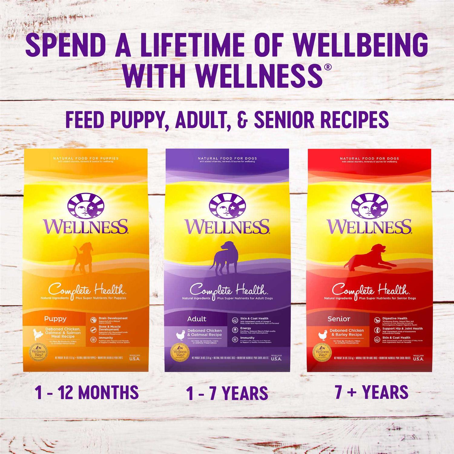 Wellness Complete Health Lamb & Barley Dry Dog Food - Image 5