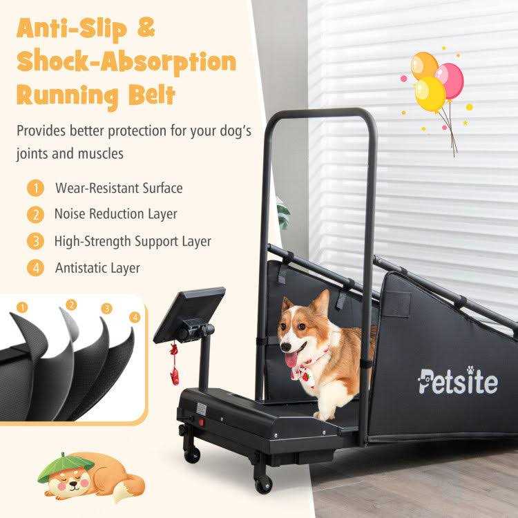 Indoor Pet Exercise Equipment with Remote Control - Image 4