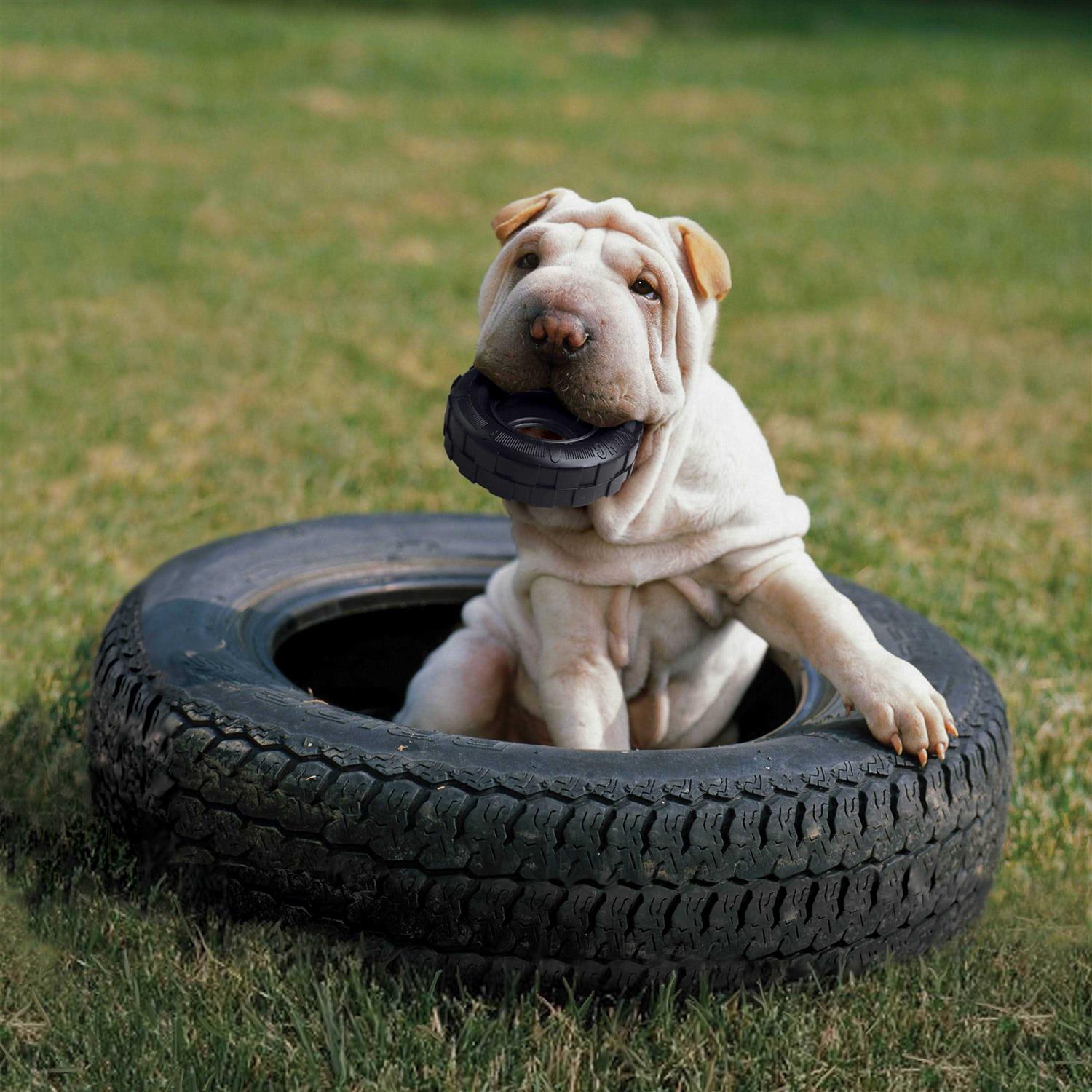 KONG Tires Dog Toy - Image 4