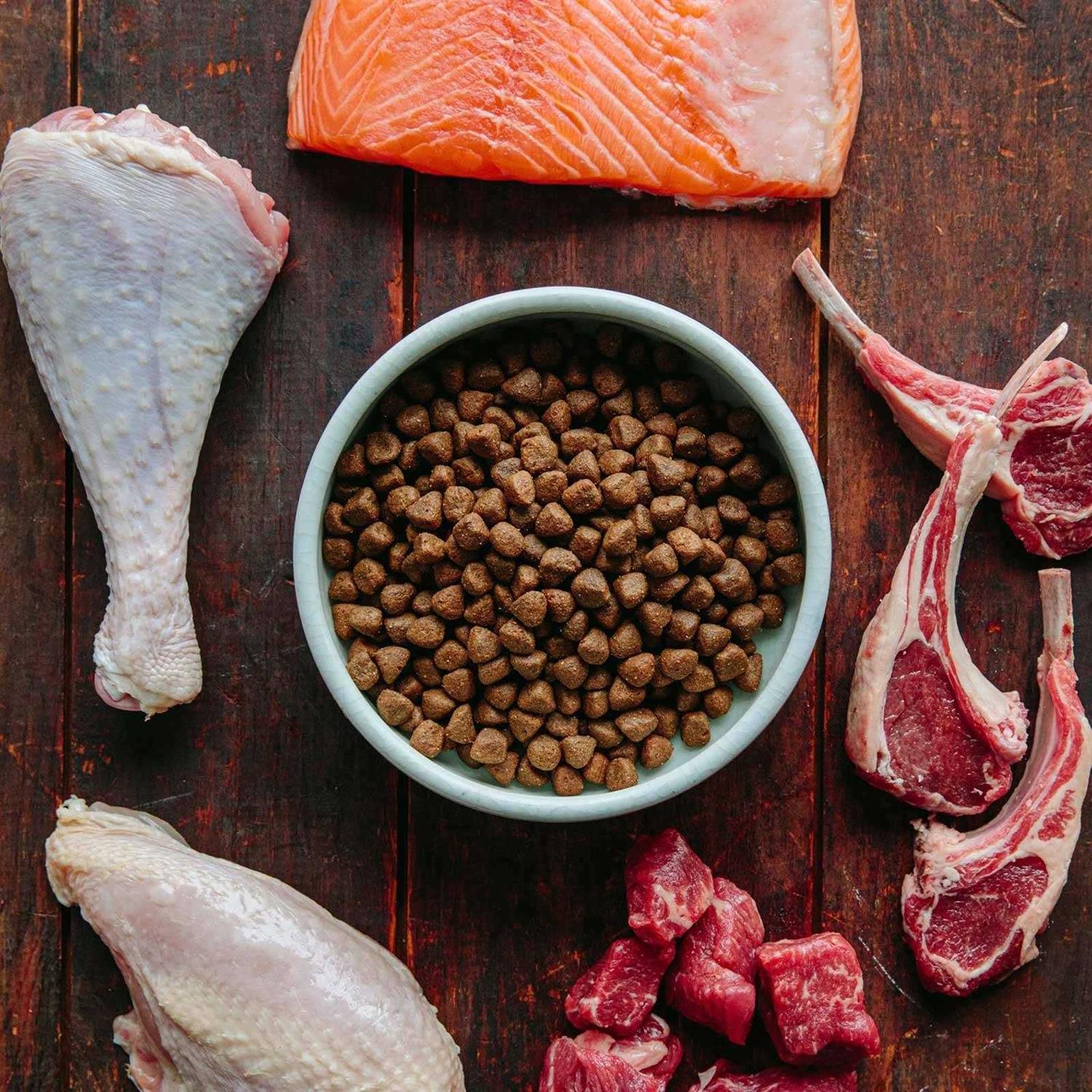 Wellness CORE Wild Game Grain-Free Dry Dog Food - Image 5