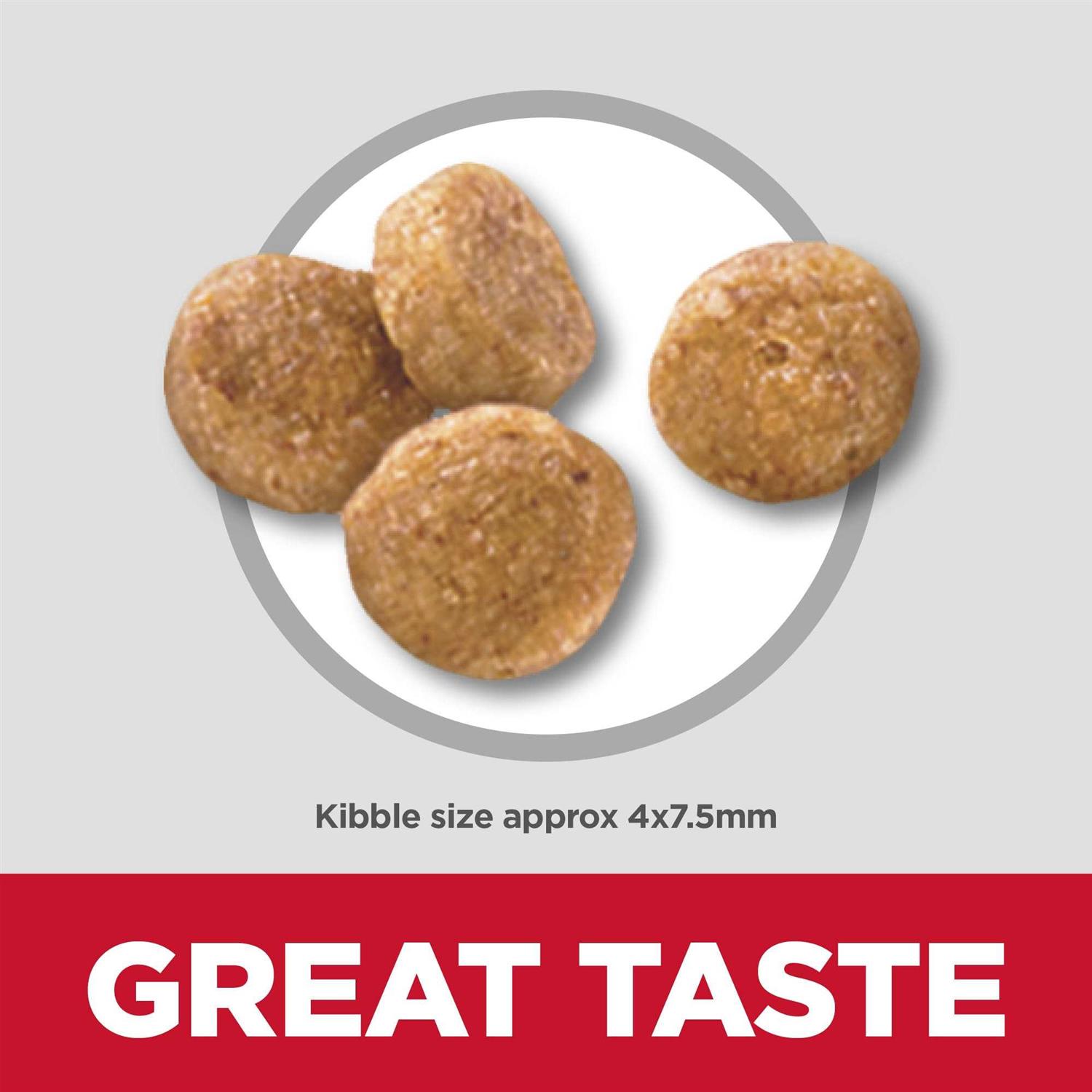 Hill's Science Diet Adult 7+ Senior Vitality Small & Mini Chicken & Rice Recipe Dog Food - Image 4