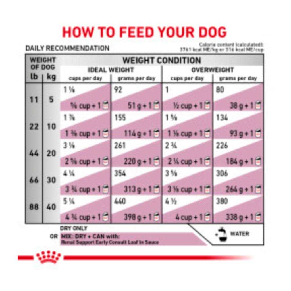 Royal Canin Veterinary Diet Canine Renal Support Early Consult Dry Dog Food - Image 4