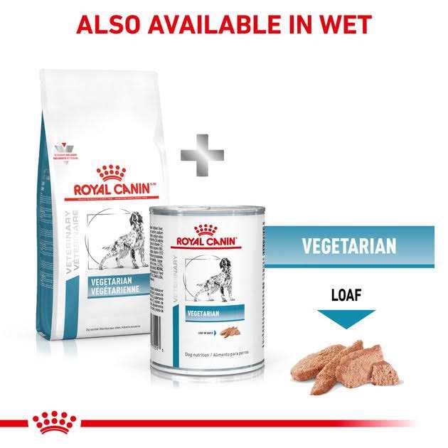 Royal Canin Veterinary Diet Canine Vegetarian Dry Dog Food - Image 5