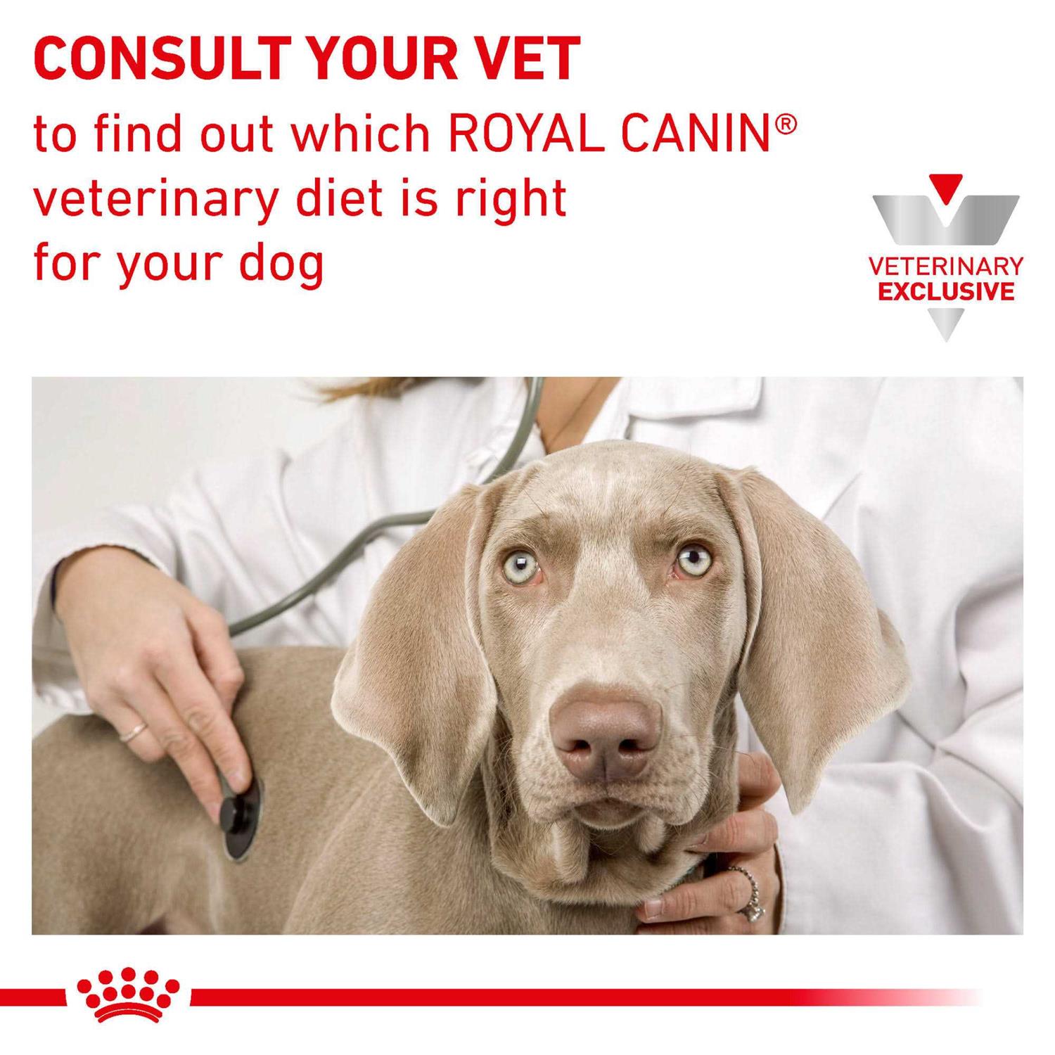 Royal Canin Veterinary Diet Canine Urinary SO Dry Dog Food - Image 4
