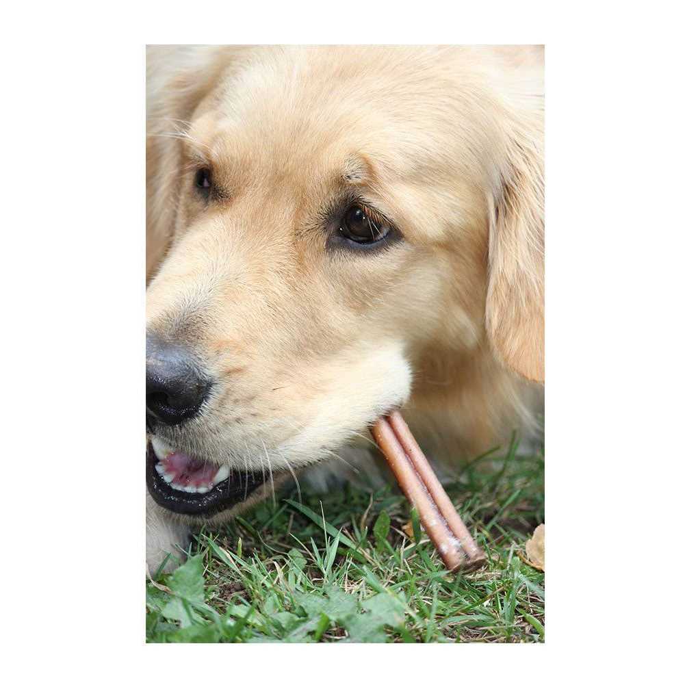 Downtown Pet Supply Bully Sticks For Medium Dogs - Image 4