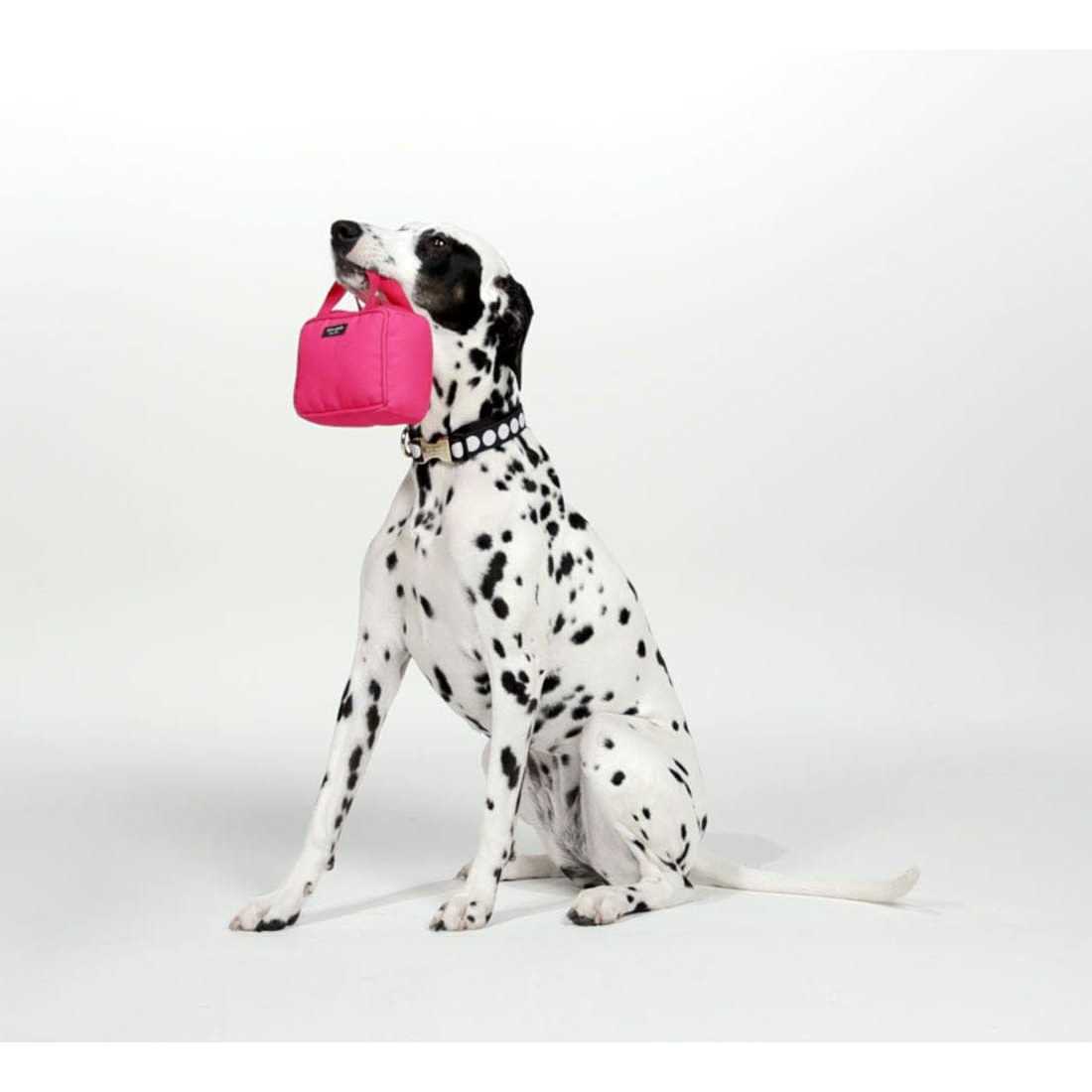 Kate Spade new york Pink Handbag Dog Chew Toy - Image 4