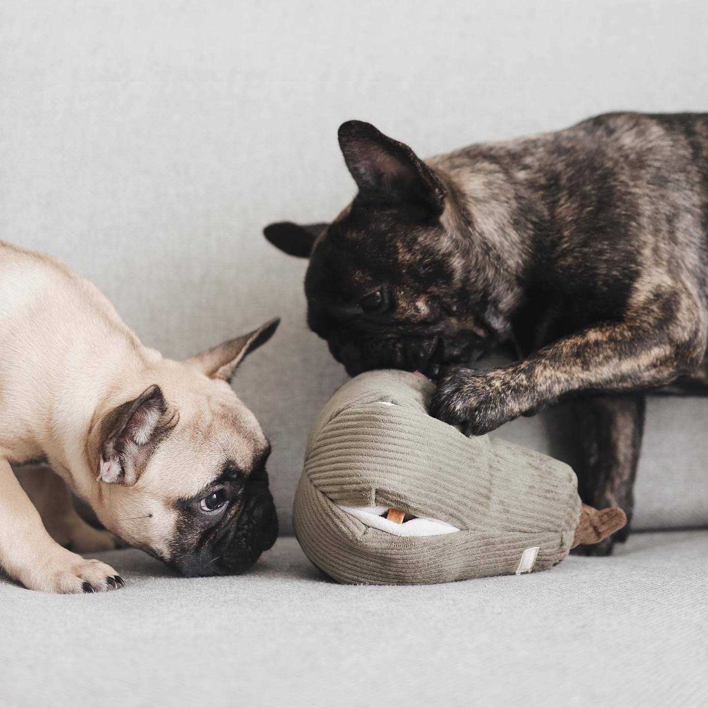 Lambwolf Butternut Snuffle Gourd Dog Toy - Image 4