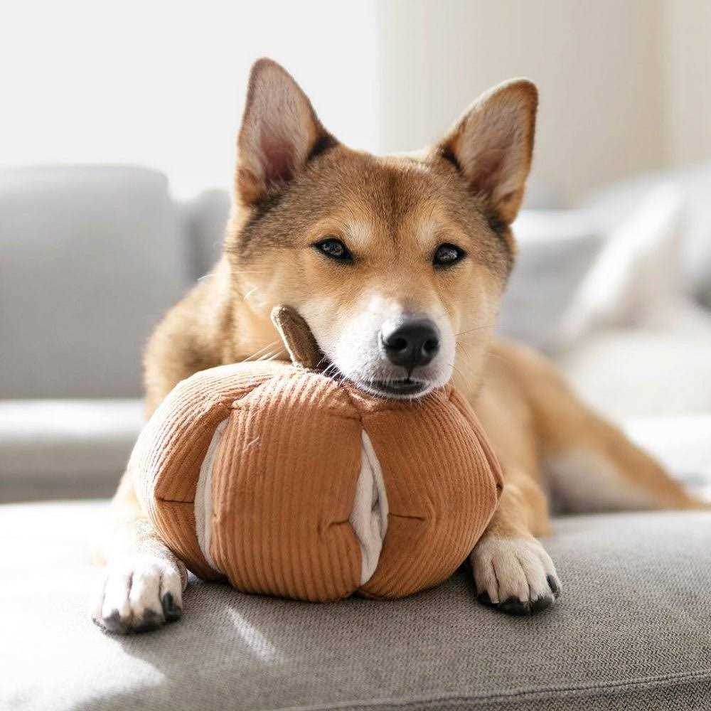 Lambwolf Butternut Snuffle Gourd Dog Toy - Image 5