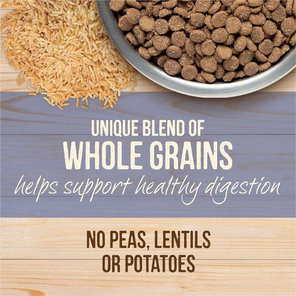 Merrick Healthy Grains Freeze Dried Raw Coated Kibble Dry Dog Food Puppy Recipe - Image 5