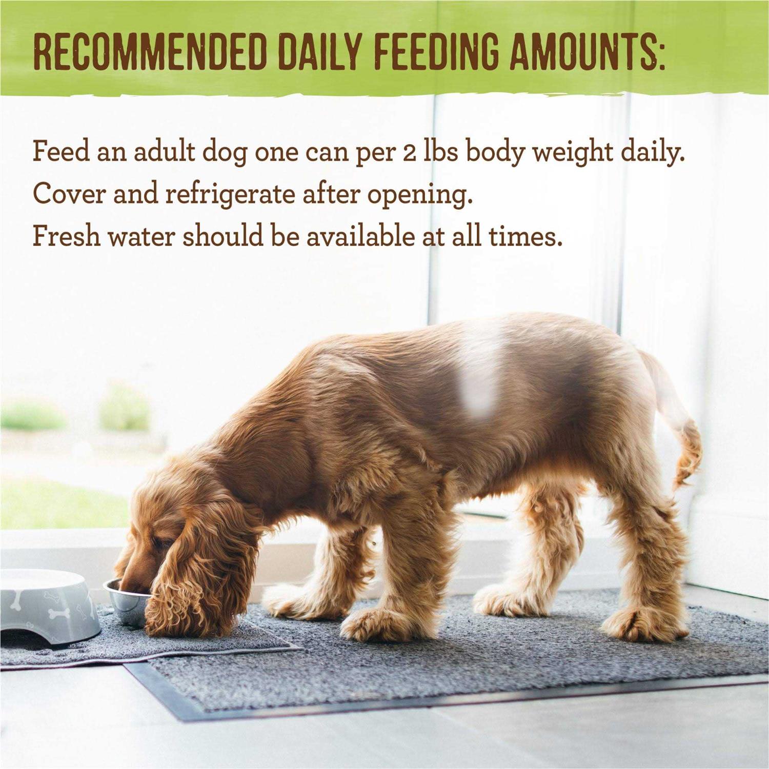 Merrick Pet Care Grain Free Dinner Lil' Plates Petite Pates Adult Wet Dog Food - Image 3