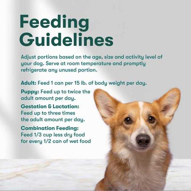 Jinx Grain-Free Sweet Potato Chopped Recipe Wet Dog Food - Image 4